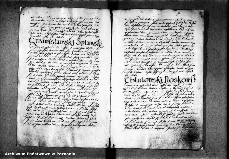 Obraz 11 z jednostki "Inscriptiones, relationes, decreta officii [inducta]"