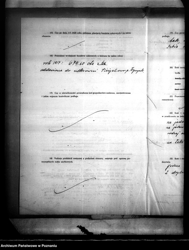 Obraz 8 z jednostki "Majątek Kosztowo powiatu wyrzyskiego wyłączenie z art. 4/5 ustawy o wykonaniu reformy rolnej Helmut Buettner"