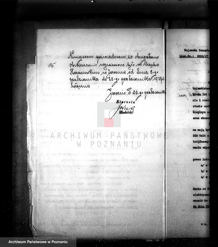 Obraz 19 z jednostki "Elektrownia gminy Witaszyce"