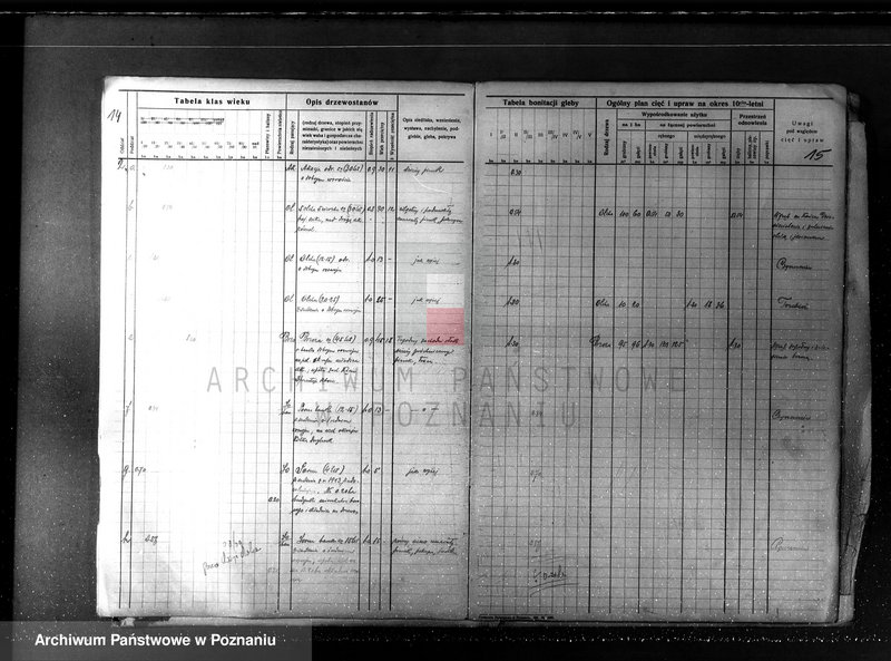 Obraz 17 z jednostki "Plan urządzania gospodarstwa leśnego dla lasu majętności Borówkowo-Stare i Piotrkowice powiat kościański"
