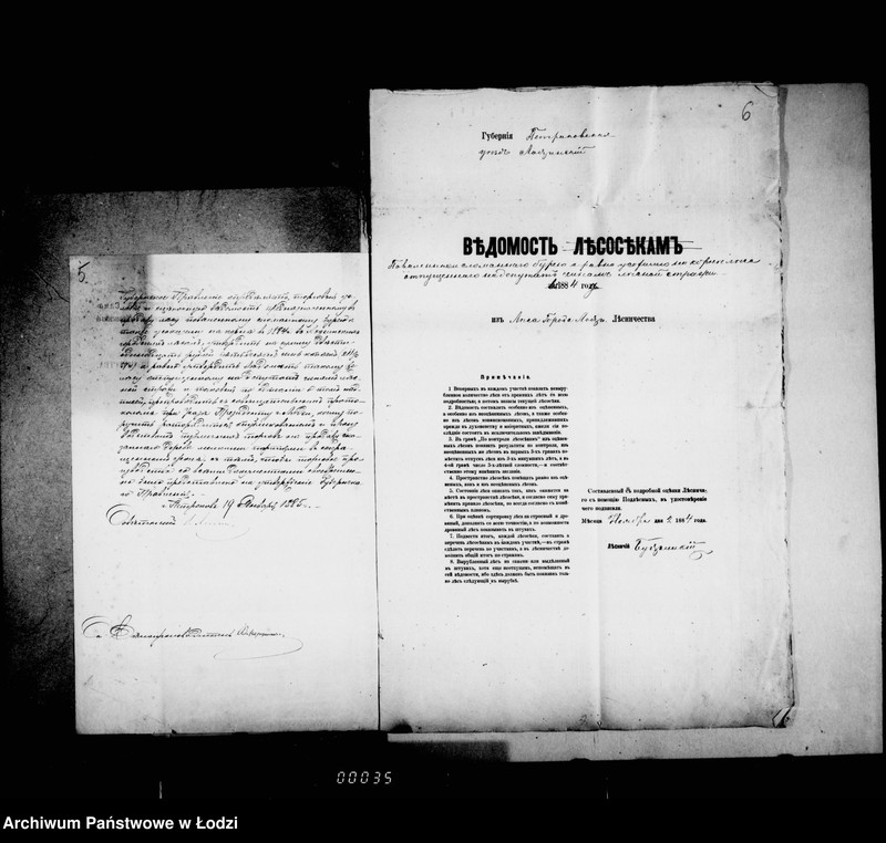 Obraz 9 z jednostki "O gorodskich lesach"