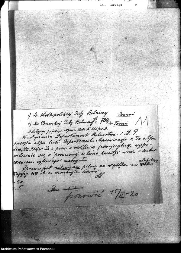 Obraz 16 z jednostki "Zboże siewne i sadzonki"