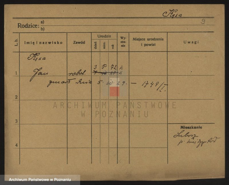 Obraz 9 z jednostki "Kępski - Kielasiński (Kü)"