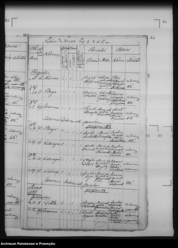 Obraz 7 z jednostki "[Kopie ksiąg metrykalnych parafii Hoczew z filiami Bachlowa, Dziurdziów (dekanat Baligród)]"