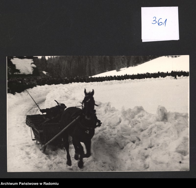 Obraz 15 z kolekcji "Nie tylko w galopie...111"