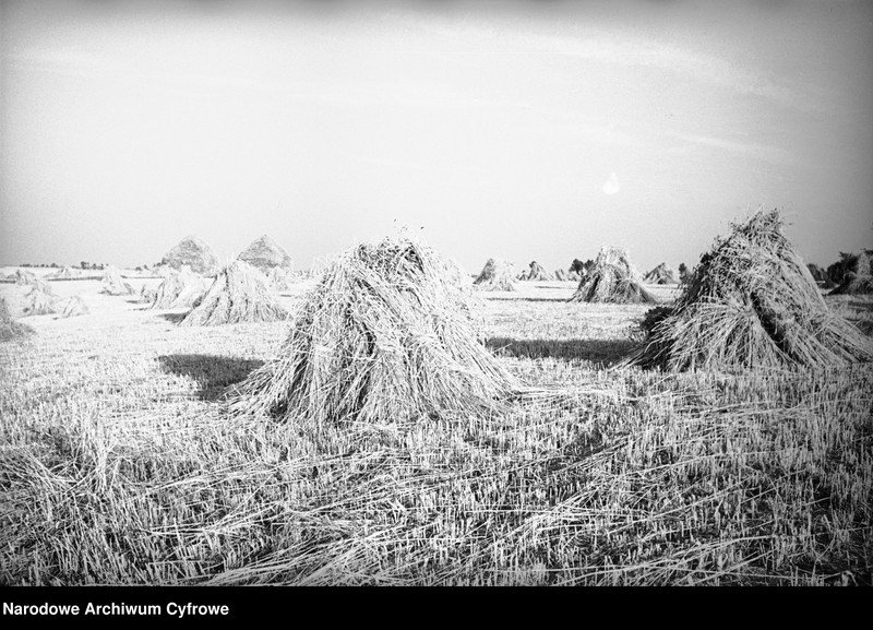 image.from.unit.number "Służewo w województwie pomorskim"