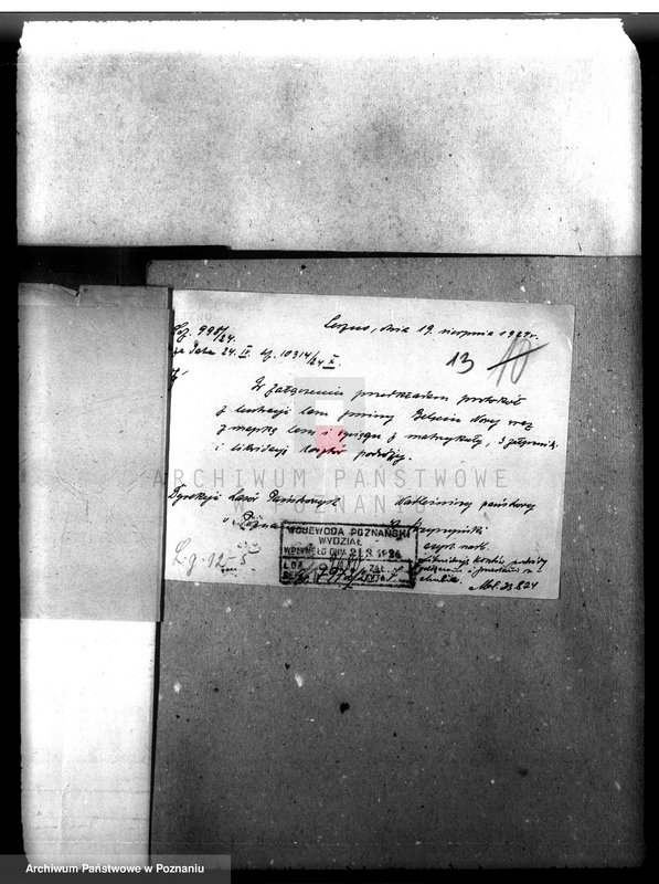 Obraz 17 z jednostki "Las gromady Belęcin-Nowy powiat leszczyński"