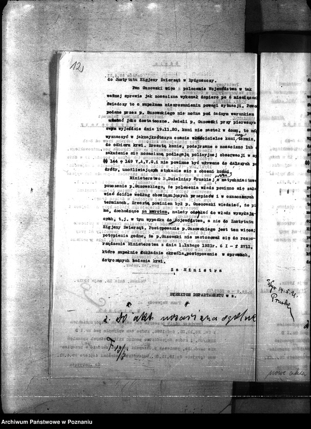 Obraz 16 z jednostki "Nosacizna - Ostrów"