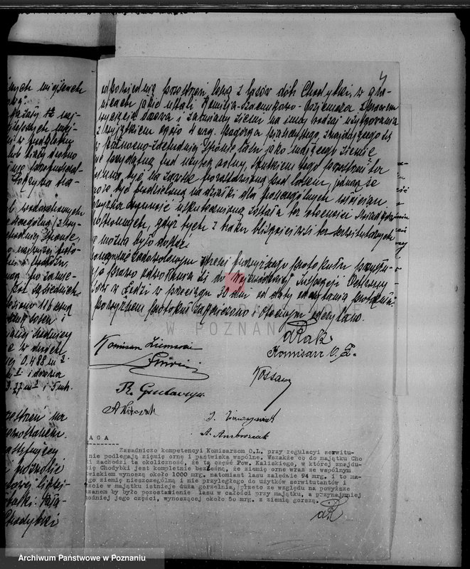 Obraz 8 z jednostki "Gmina Koźminek powiat kaliski /sprawy leśne/"