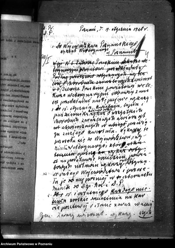 Obraz 8 z jednostki "Sprawy ogólne Wykazy chorób zaraźliwych; [księgosusz, zaraza płucna]"