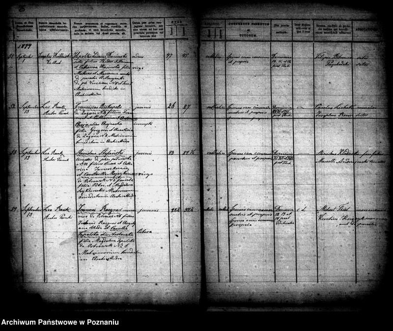 Obraz 14 z jednostki "Księga małżeństw"