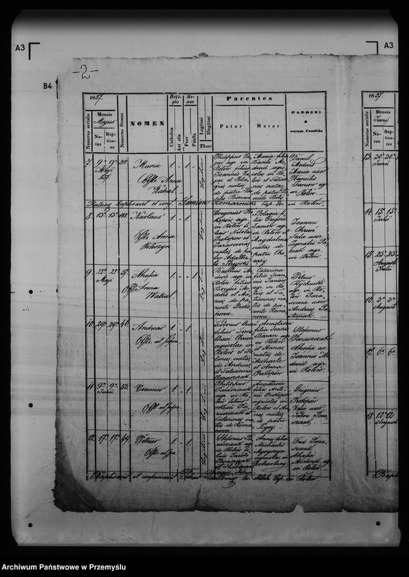 Obraz 6 z jednostki "[Kopie ksiąg metrykalnych parafii Rolów (dekanat Medenice)]"