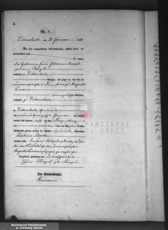 Obraz 7 z jednostki "[Księga aktów urodzeń]"