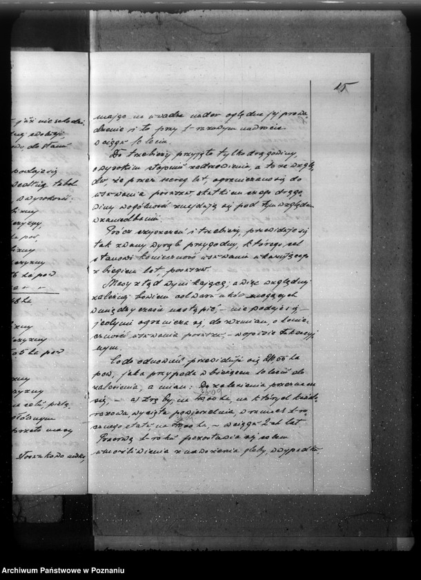 Obraz 19 z jednostki "Plan gospodarczy lasów majątku Stefanowo w powiecie nowotomyskim"