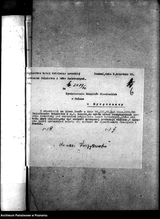 Obraz 10 z jednostki "Sprawy szczegółowo-administracyjne Koszykarstwo"