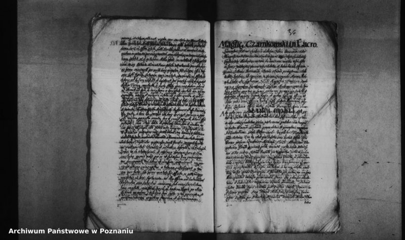 Obraz 19 z jednostki "Decreta officii [inducta]"