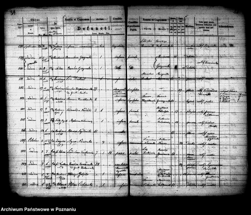 Obraz 17 z jednostki "Księga zgonów"