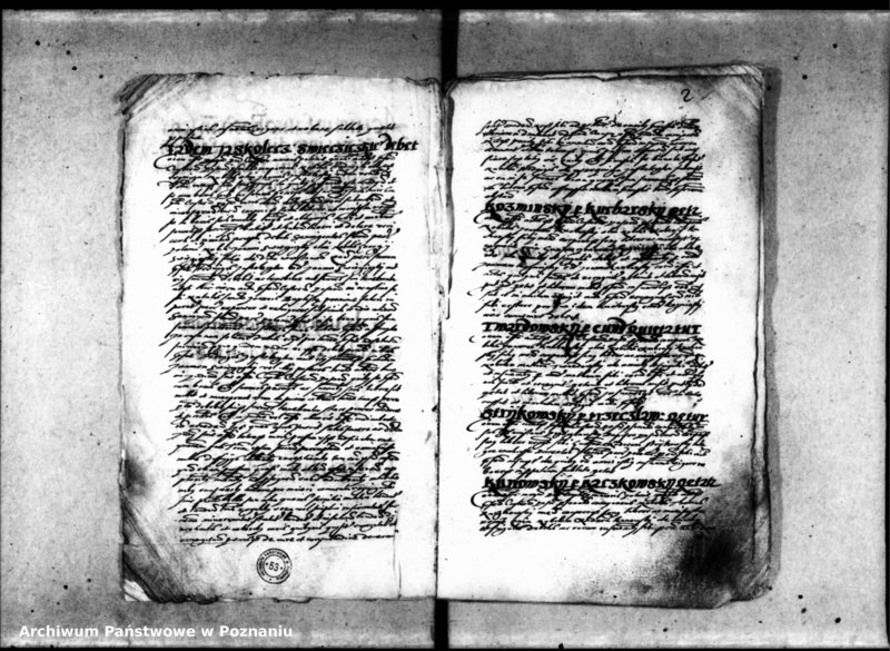 Obraz 7 z jednostki "Inscriptiones [inducta]"