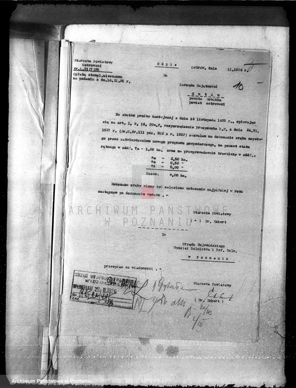 image.from.unit.number "Nadzór nad gospodarką w lasach majętności Gutów"