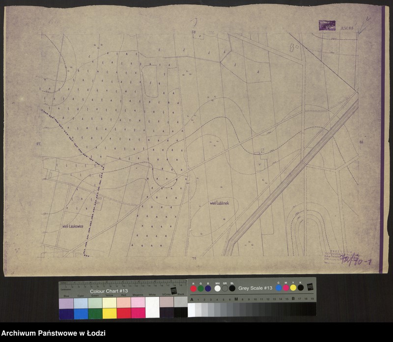 Obraz 1 z jednostki "Plan m. Łodzi 1: 2000. Sekcja SW 66"