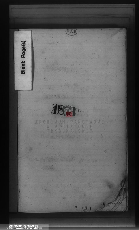 Obraz z jednostki "[Księga duplikat aktów urodzonych, zaślubionych i zmarłych]"