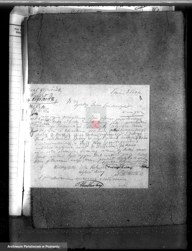 Obraz 6 z jednostki "Drzewostan na majątku państwowym Chwałkowo powiat średzki"