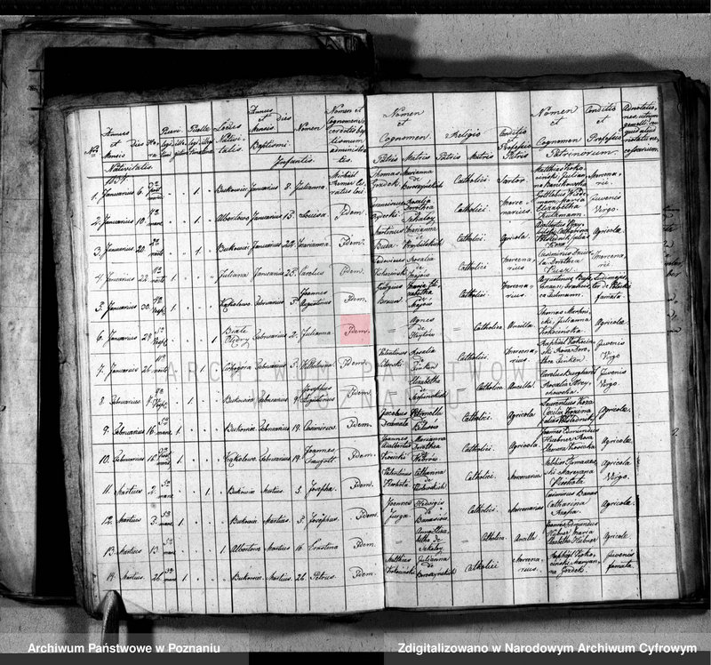 image.from.unit.number "Liber baptisatorum, copulatorum, mortuorum"