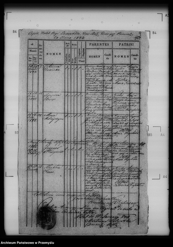 Obraz 13 z jednostki "[Kopie ksiąg metrykalnych parafii Siebieczów z filiami Leszczaków, Piwowszczyzna, Rusin, Wierzbiąż (dekanat Bełz)]"