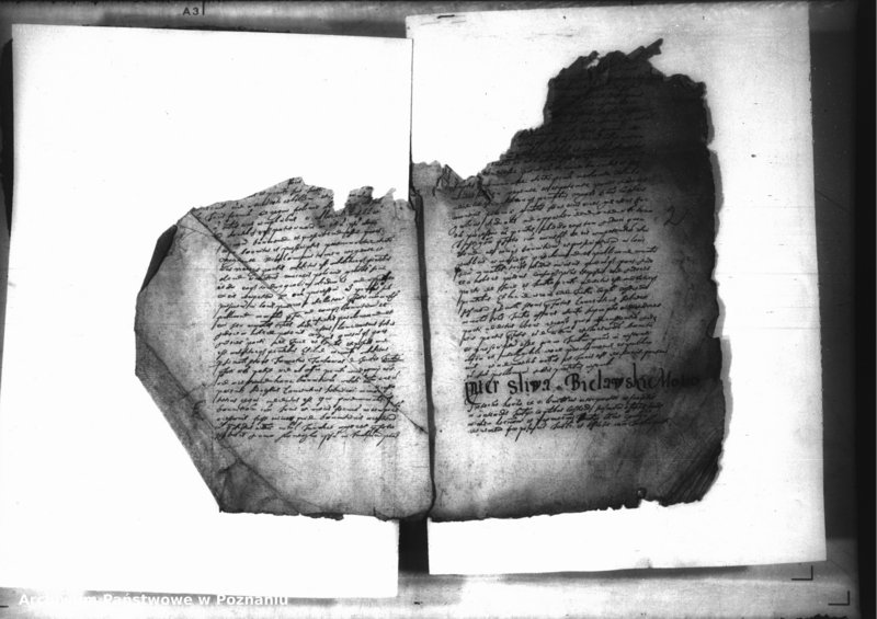 Obraz 4 z jednostki "Decreta iudicii [inducta]"