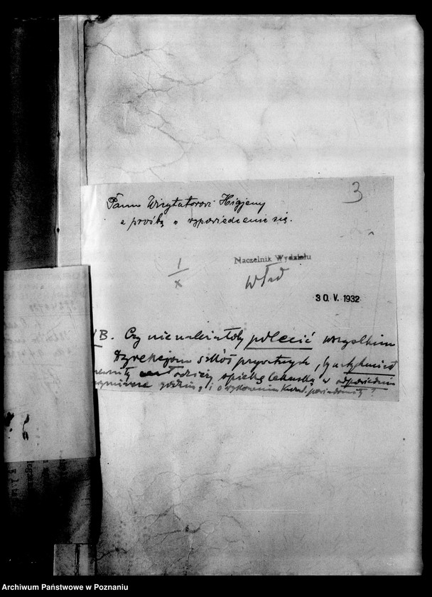 Obraz 7 z jednostki "Prywatne Gimnazjum imienia Mickiewicza - Poznań"