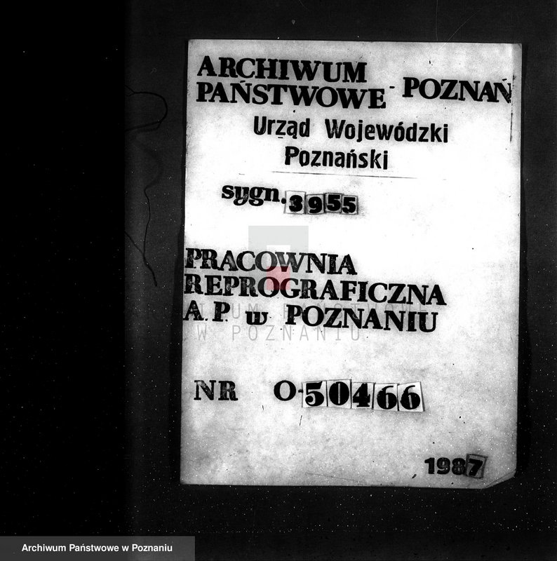 Obraz 1 z jednostki "Gmina Niewiesz powiat turecki /nadzór nad gospodarką leśną/"