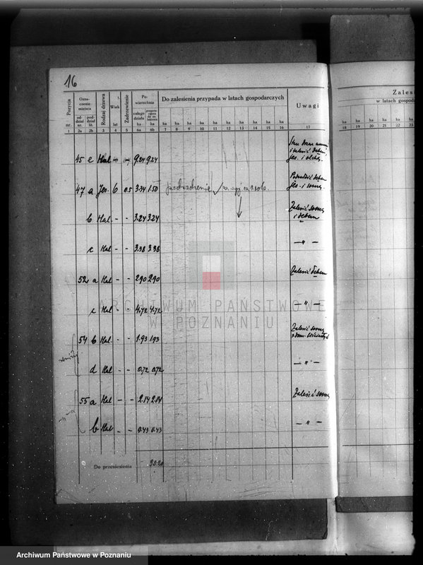 Obraz 20 z jednostki "Plan urządzenia gospodarstwa leśnego lasu majętności Dakowsko-Wojnowickiej w powiecie nowotomyskim"