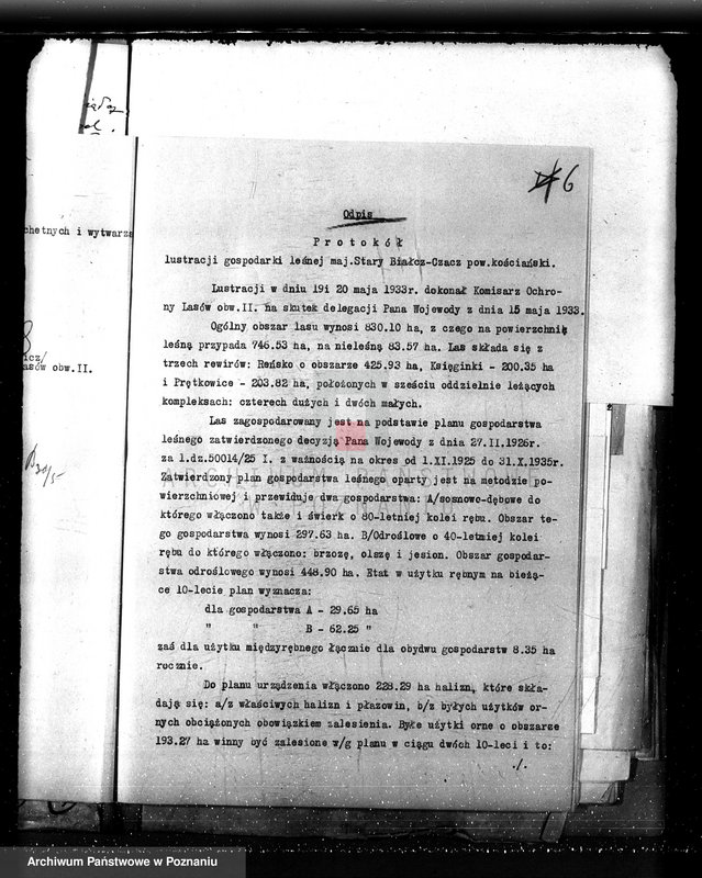 Obraz 10 z jednostki "Nadzór nad gospodarką w lasach majętności Czacz-Białcz powiat kościański"