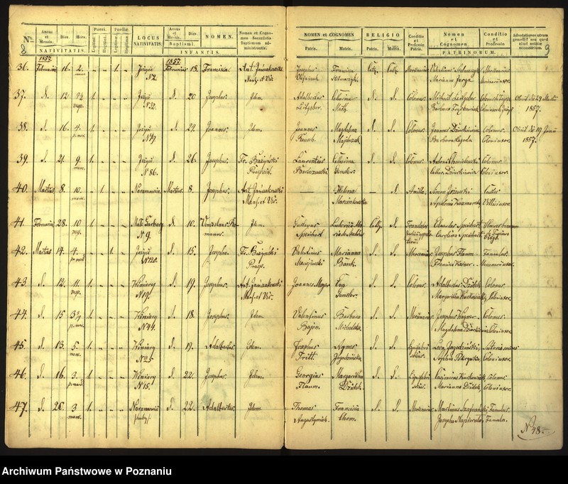 Obraz 7 z jednostki "Księga urodzin"