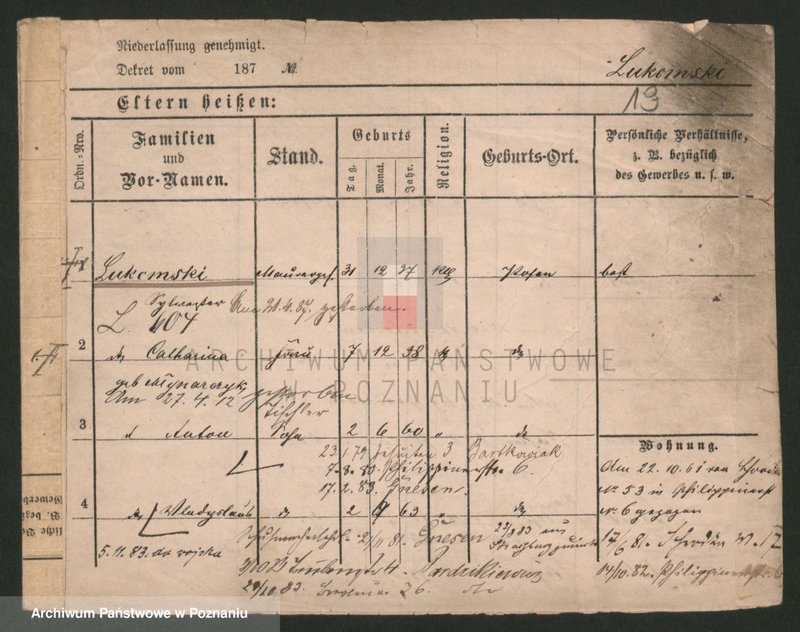 Obraz 19 z jednostki "Luke - Lulka"