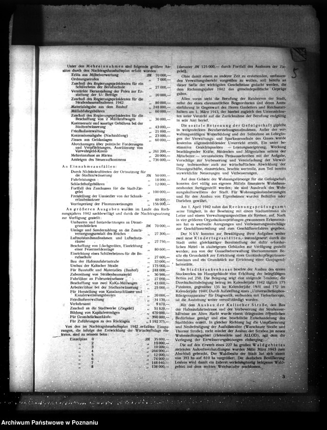 Obraz 8 z jednostki "Haushaltssatzung der Stadt Leslau (Włocławek)"