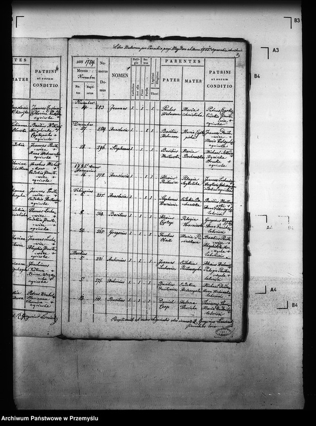 image.from.unit.number "[Kopie ksiąg metrykalnych parafii Majdan Sieniawski z filiami Adamówka, Krasne (dekanat Sieniawa)]"