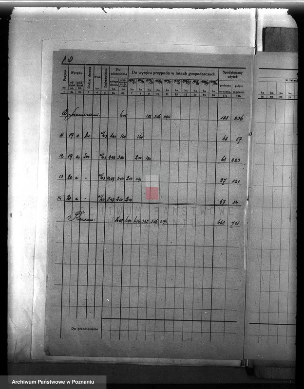 Obraz 14 z jednostki "Plan urządzenia gospodarstwa leśnego dla lasu majętności Śródka w powiecie międzychodzkim 1930-1940"