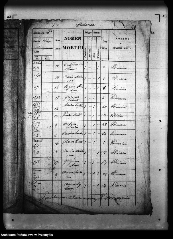 image.from.unit.number "[Kopie ksiąg metrykalnych parafii Jasiel z filią Rudawka (dekanat Rymanów)]"