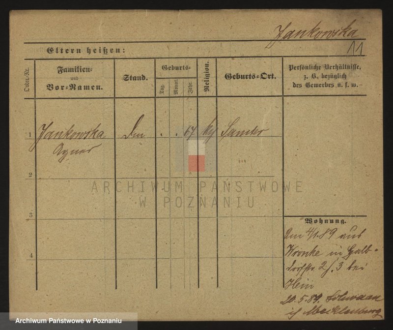 Obraz 11 z jednostki "Jankowski (samotne kobiety)"