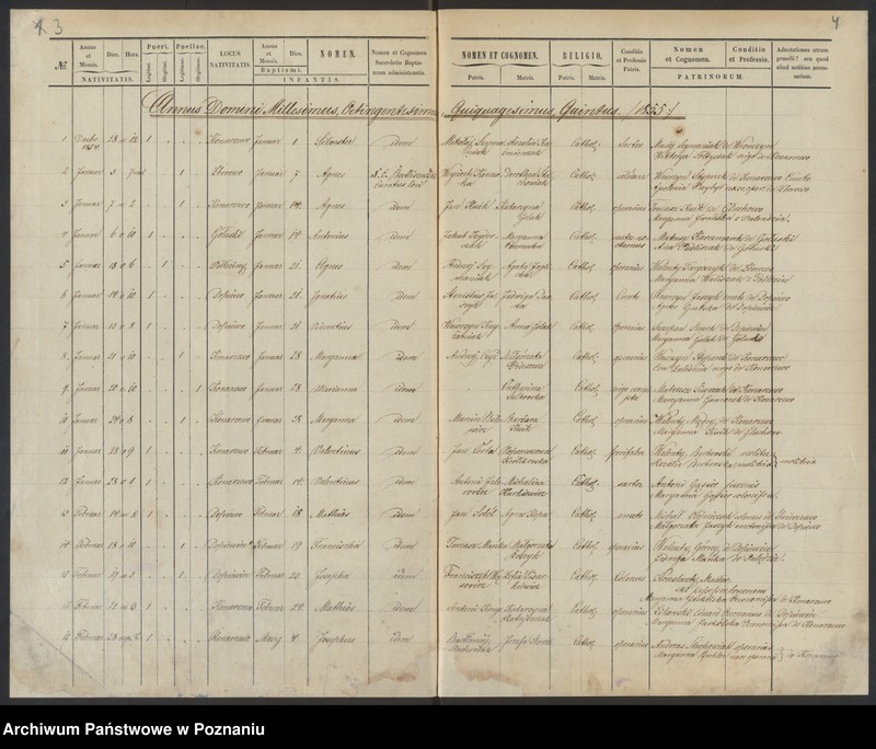 Obraz 5 z jednostki "Duplikat baptisatorum, copulatorum, mortuorum"