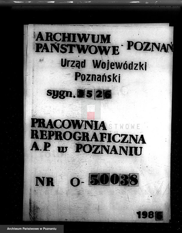 Obraz 1 z jednostki "/Las majątku Wielichowo/"