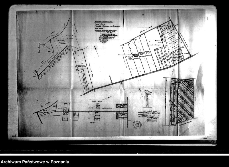 Obraz 9 z jednostki "Projekt parcelacyjny majątku Sieroszewice i Rosoczyce powiatu ostrowskiego"