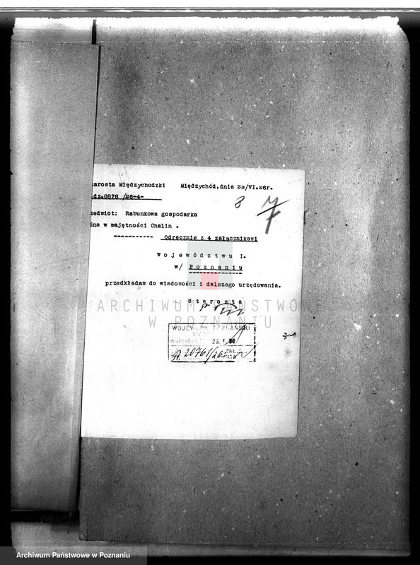 Obraz 12 z jednostki "Majętność leśna Chalin powiat międzychodzki"