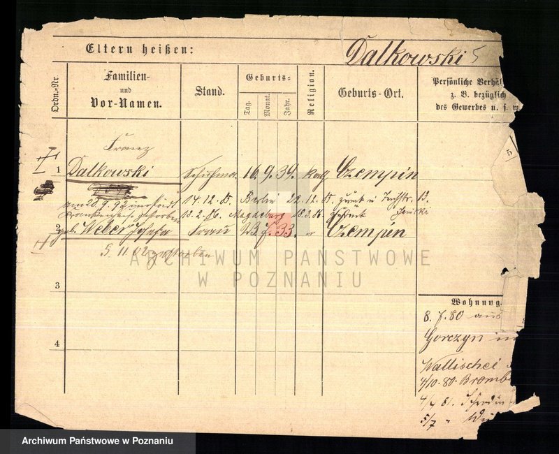 Obraz 7 z jednostki "Dalkowski - Danielewicz"