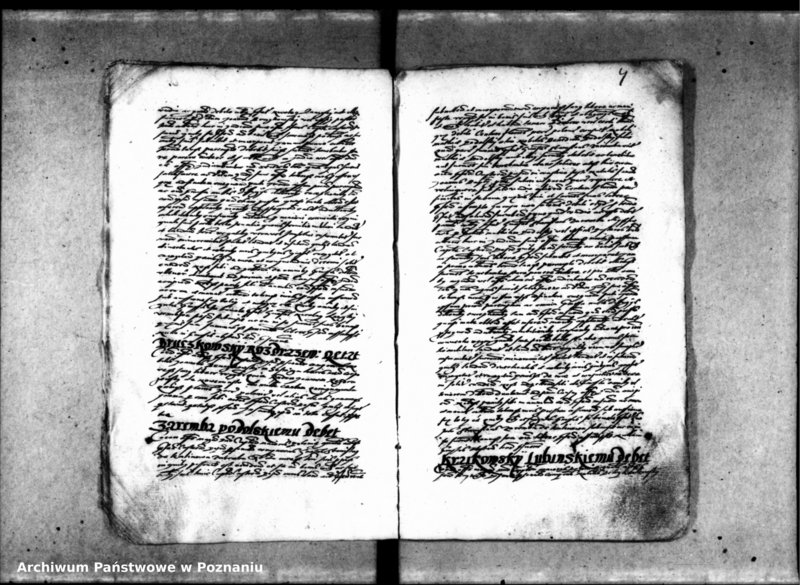 Obraz 12 z jednostki "Inscriptiones [inducta]"