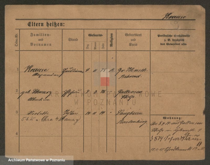 Obraz 9 z jednostki "Krause (żonaci i wdowy)"