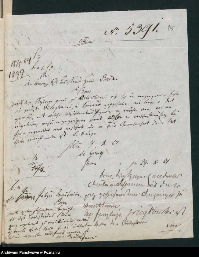 Obraz 19 z jednostki "A. betr. die polnischen Flüchtlinge Valentin, Valerian und Boleslaus Wielogłowski"