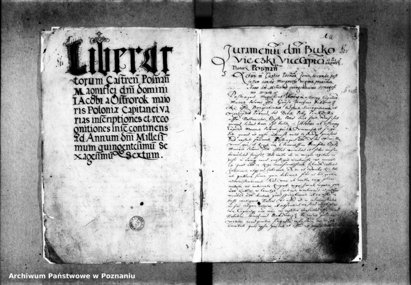 Obraz 7 z jednostki "Inscriptiones, relationes, decreta officii [inducta]"