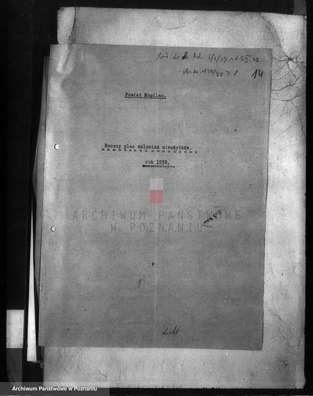 Obraz 18 z jednostki "Zalesienie nieużytków w powiecie mogileńskim"